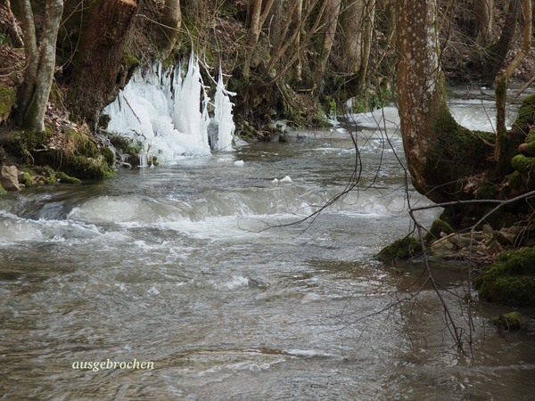 Bild Nr. 3