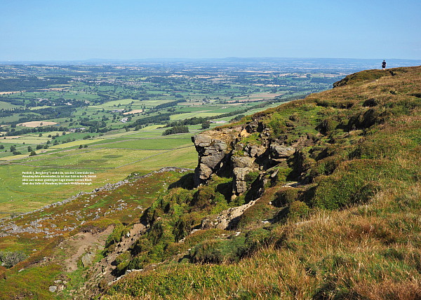 Bild Nr. 8
