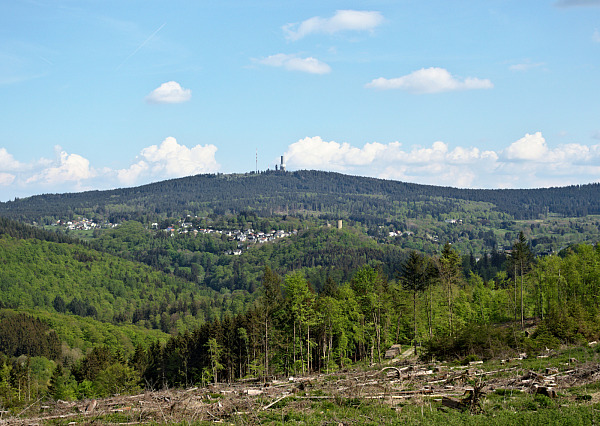Bild Nr. 5