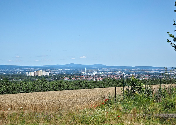 Bild Nr. 7
