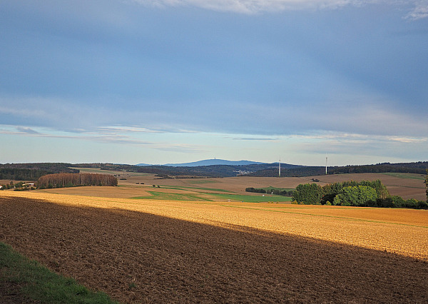Bild Nr. 10