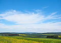 Bild Nr. 8