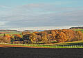 Bild Nr. 11