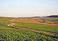 Bild Nr. 12